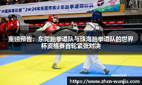 玩加电竞官网