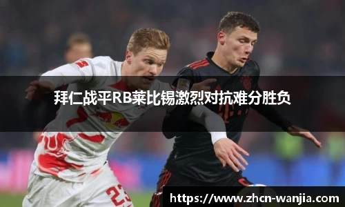 玩加电竞官网
