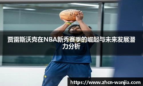 玩加电竞官方正版网站